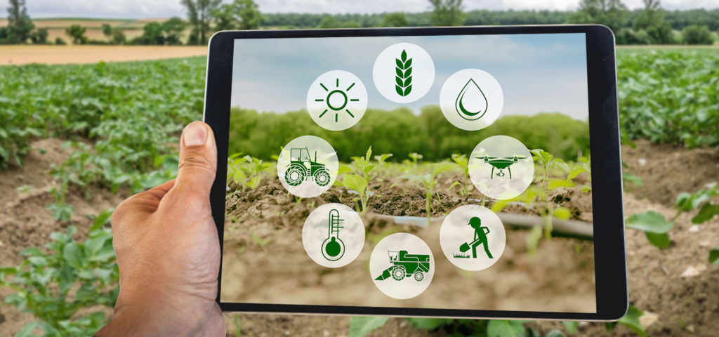 Augmented Reality Agriculture